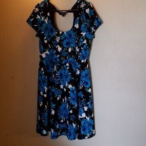 Torrid Blue Floral Skater dress